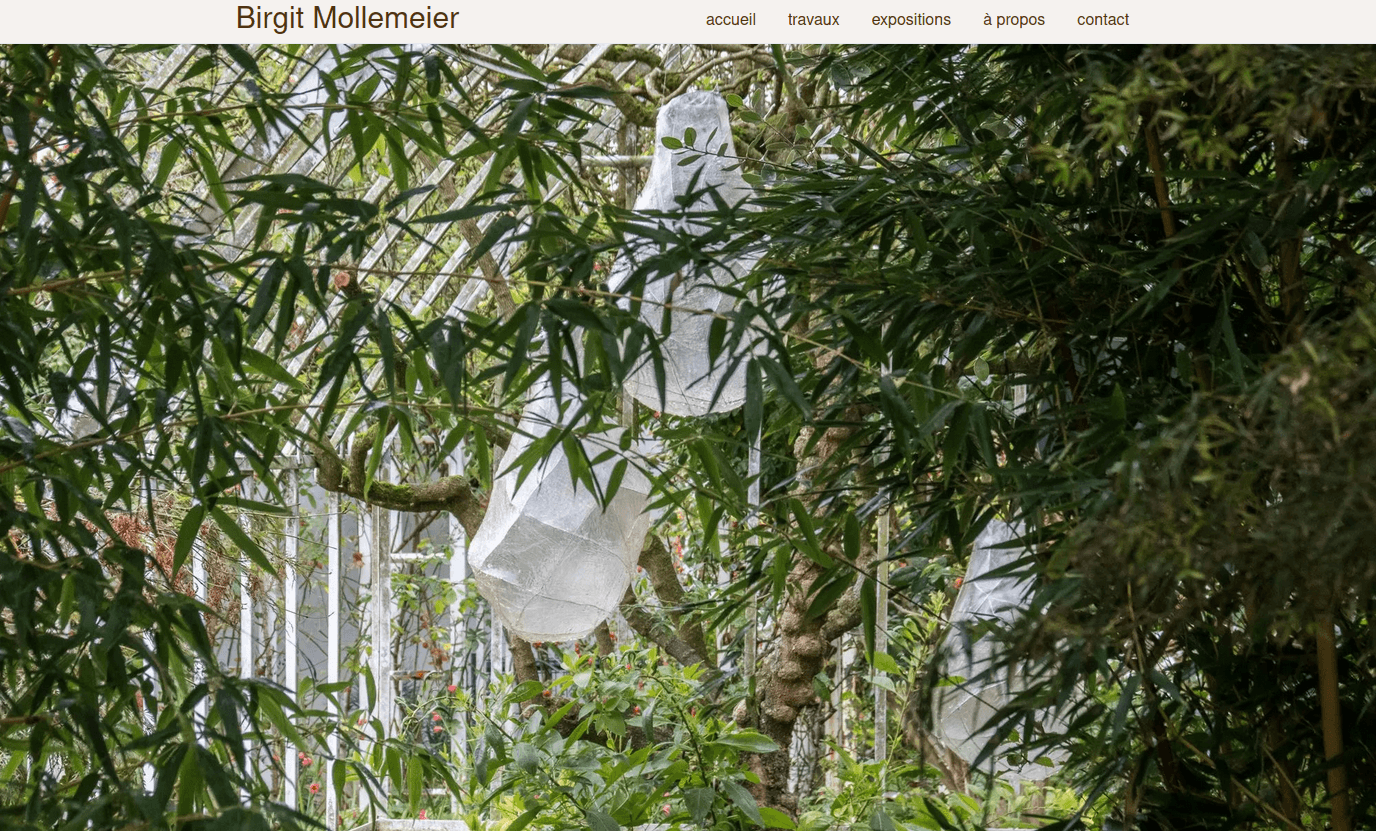 screen of the home page of the website of Birgit Mollemeier